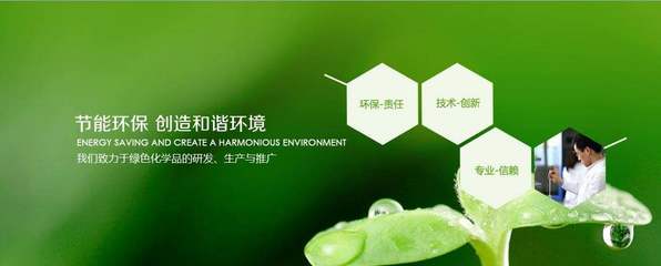 国家政策扶持环保燃料技术发展_社会_网